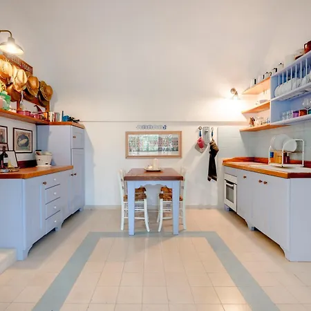 Apartment 1855